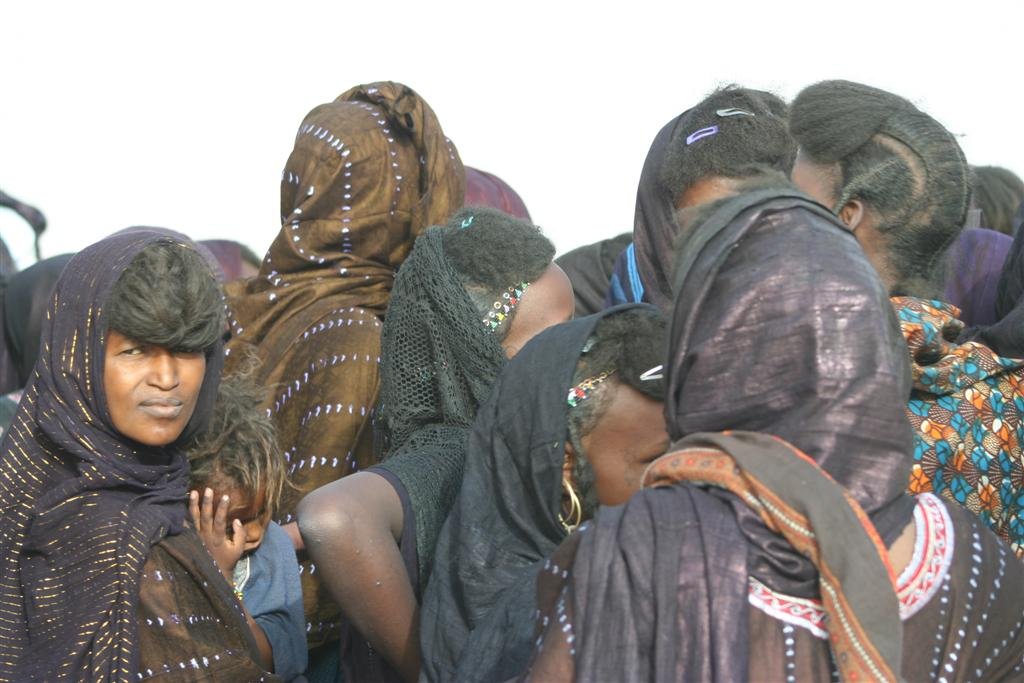 MudMaps 3408 Gaddafi camel party